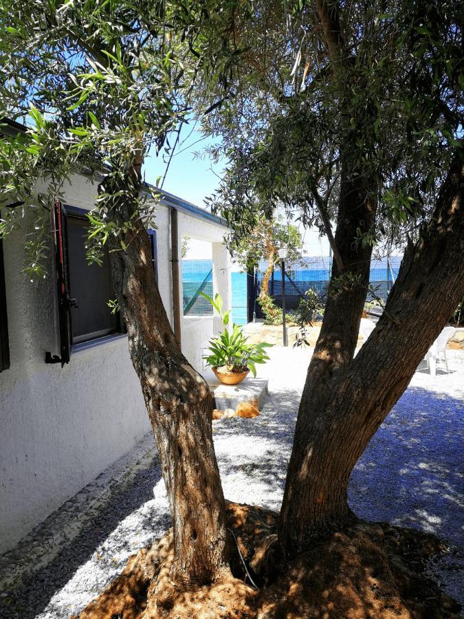 Villa La Plaja Cefalú Exterior foto